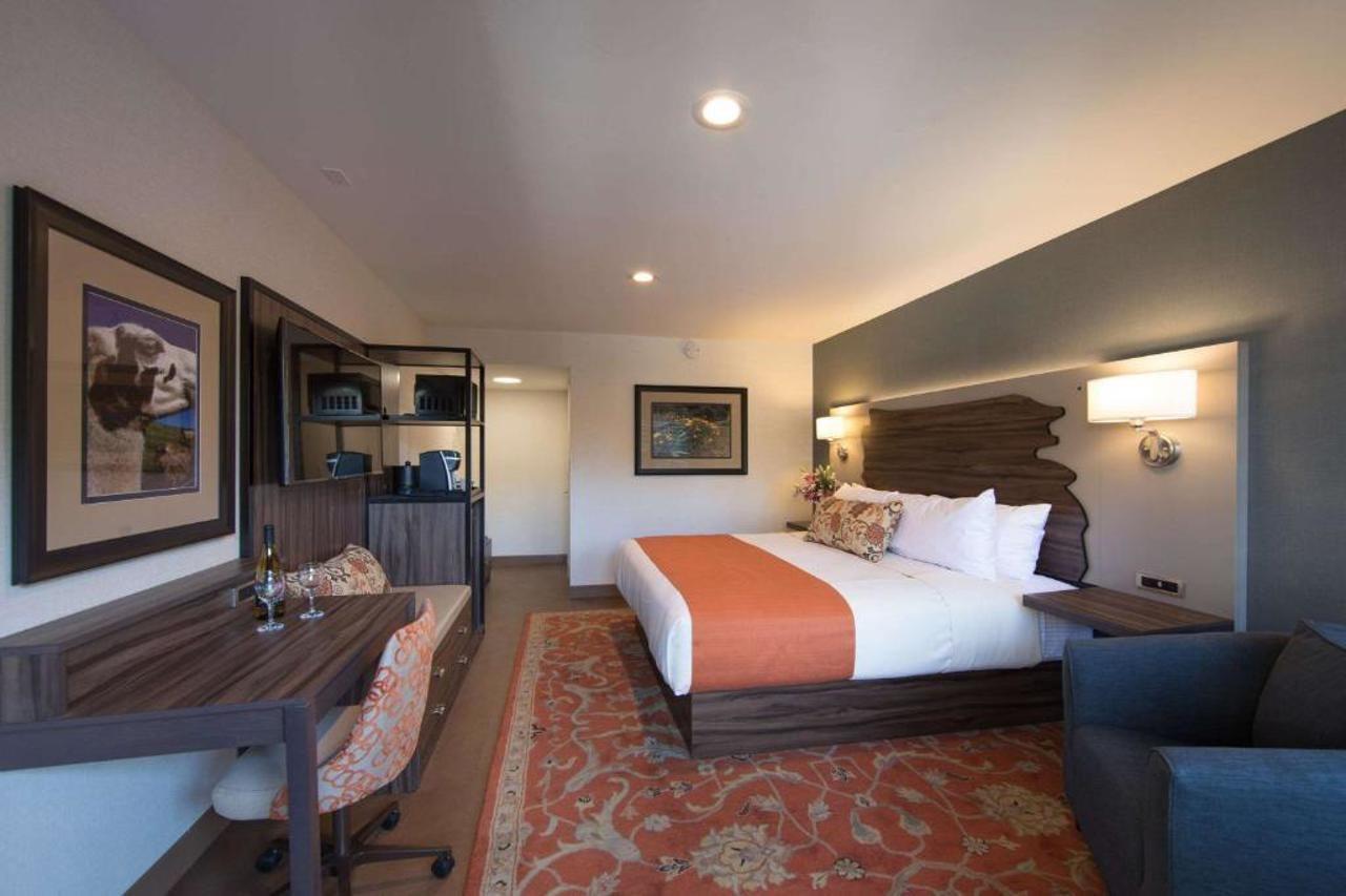 The Vine Hotel 2*