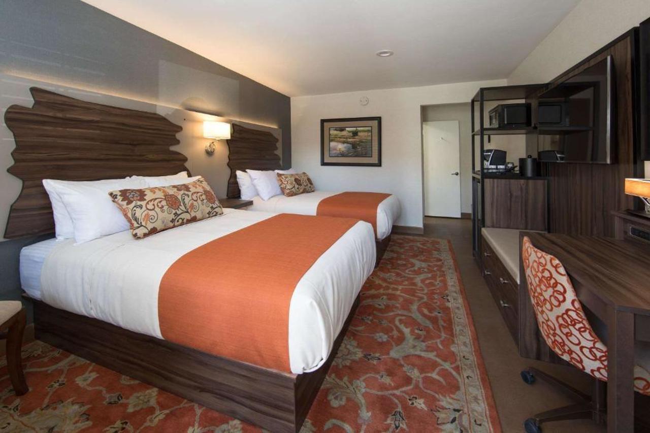 Hotel The Vine 2*